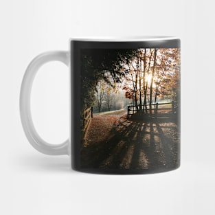 Early Autumn Light Mug